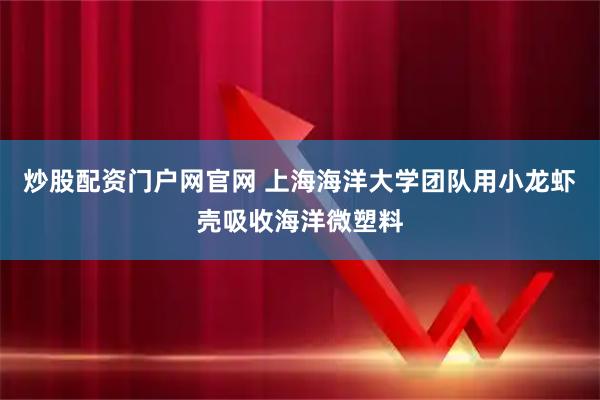 炒股配资门户网官网 上海海洋大学团队用小龙虾壳吸收海洋微塑料