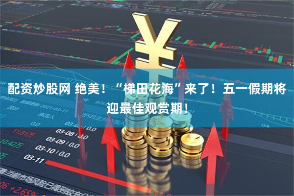 配资炒股网 绝美！“梯田花海”来了！五一假期将迎最佳观赏期！